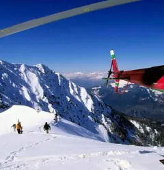 Blugeon helicopter