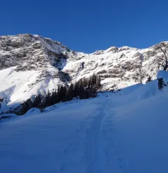 Les Teppes winter itinerary