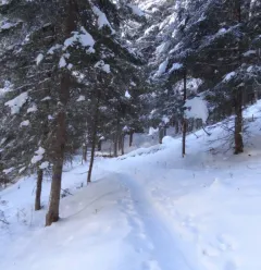 Taillette snowshoeing itinerary