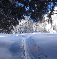Winter itinerary Comba Damon
