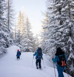 Le Bois des Fornettes trail