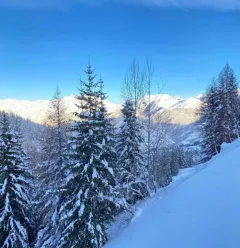 VIEW FROM BALCONY