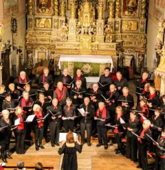 concert