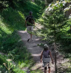 Bois des Fornettes trail