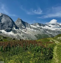 Matthieu RONDOUIN - Moutain guide
