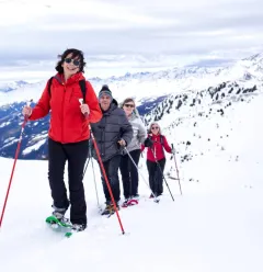 Snowshoe group