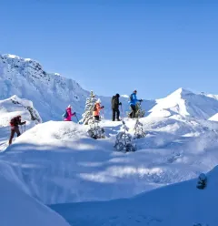 snowshoe group