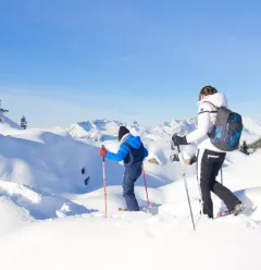 snowshoes