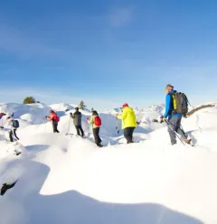 snowshoes1