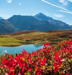 Carroley circuit trail_La Plagne