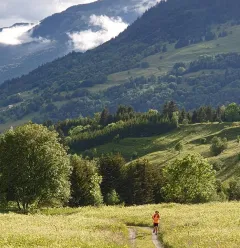 Les Fours