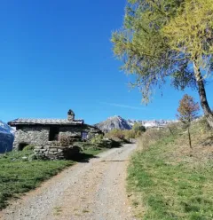 "Canals and mountain pastures at Les Fours" trail