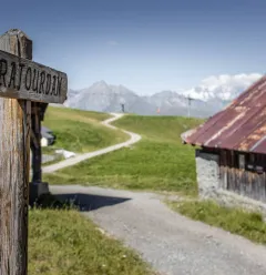 Les Cimes trail