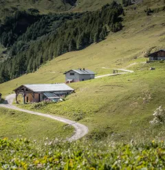 Les Cimes trail
