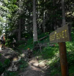Les Cimes trail