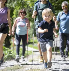 Le Bois trail