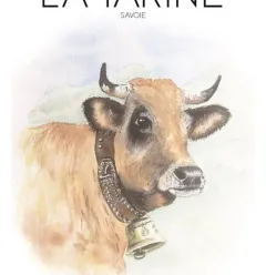 La Tarine 1