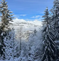Vue de la chambre double