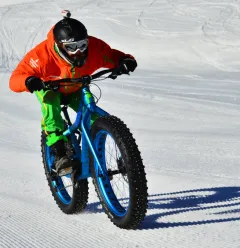 Fat Bike