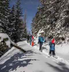 Alpages Enchantés Trail