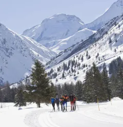 Cross-country skiing lessons