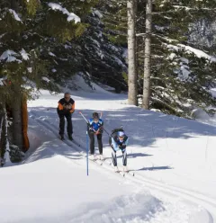 Cross-country skiing lessons
