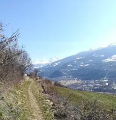 Hiking trail: the 4 seasons trail