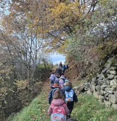 Hiking trail: the 4 seasons trail