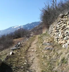 Hiking trail: the 4 seasons trail