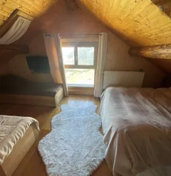 Alpine chalet at Valezan