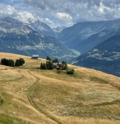 Alpine chalet at Valezan