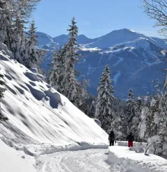 Groomed track in the winter actvity area at La Côte d'Aime