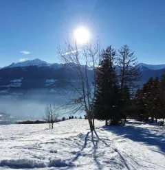 Snowshoe trails in the winter activity area at Granier