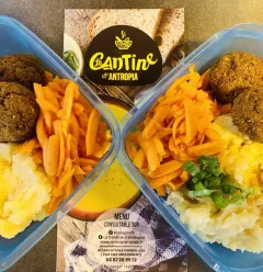 Vegetable dumplings, mashed potato, grated carrot