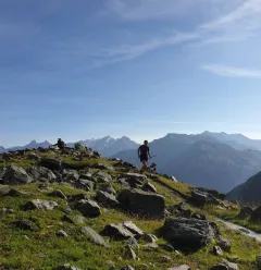 Trail runner on the horizon!