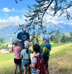 Children - larch tree