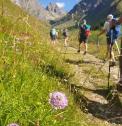 Hike in Foran valley