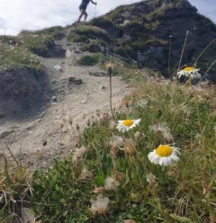 Trail route towards Tête du Jarset