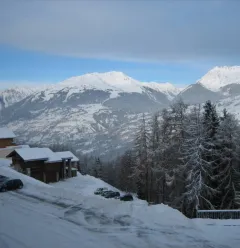 View from the studio
