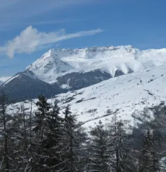 Winter view from the studio