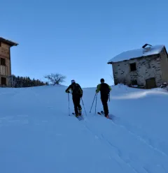 Itinéraire ski de randonnée : Les Coches - Plan Bois