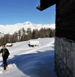 Itinéraire ski de randonnée : Les Coches - Plan Bois