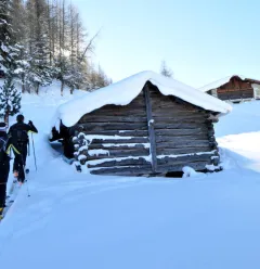 Itinéraire ski de randonnée : Les Coches - Plan Bois