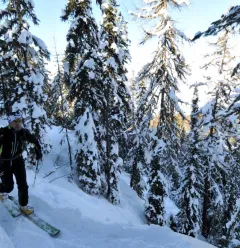 Itinéraire ski de randonnée : Les Coches - Plan Bois