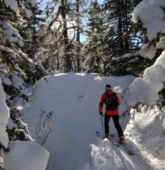 Itinéraire ski de randonnée : Les Coches - Plan Bois