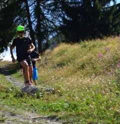 Trail
