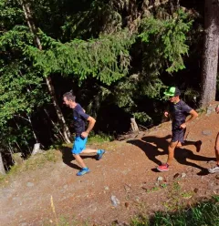 Trail