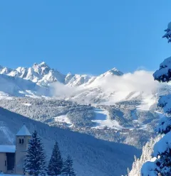 Vue Courchevel depuis les pièces principales