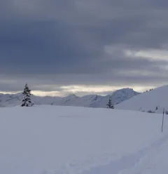 La Rossa snowshoeing itinerary