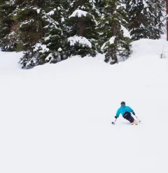Handiski - Seated Skiing